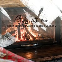 Forlorn Mountain Cabin Fireplace Sounds, Pt. 10 - Sebastian Riegl