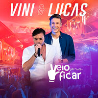 Amor Sem Vergonha - VINI