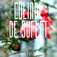 Colindam Doamne - Raoul & Viorica Macovei