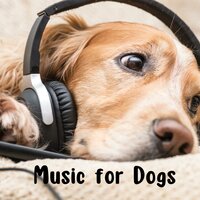 Man's Best Friend - Music for Dogs & Music for Dogs Peace & Relaxing Puppy Music & Calm Pets Music Academy