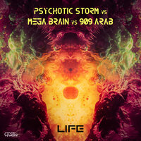 Drop the Acid - Psychotic Storm & Mega Brain & 909 Arab