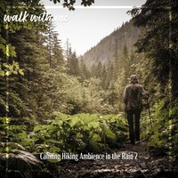 Calming Hiking Ambience in the Rain, Pt. 12 - Daniel Dodik