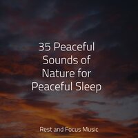 Warming Hugs - Calming Sounds & Music to Relax in Free Time & Study Concentration