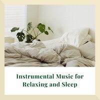 City Goes to Sleep - Instrumental Music Academy