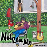 I'LL WALK ALONE - Joe Mullins