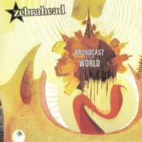 Your New Boyfriend Wears Girl Pants - Zebrahead