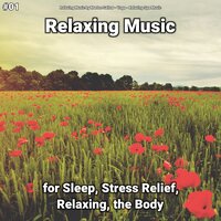 Wonderful Relaxation Music for Toddlers and Adults - Relaxing Music by Marlon Sallow & Yoga & Relaxing Spa Music