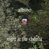 Perdita - Albino