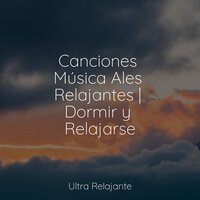 Sentirse A Salvo - Relajación Meditar Academie & Musica Relajante Para Estudiar & Cascada de Lluvia