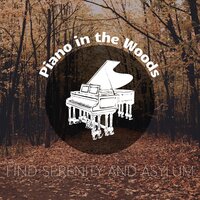 Zen Piano - Piano Dreamers & Piano in the Woods/ Meditation Music therapy