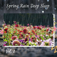 Soothing Rain Sounds - Binaural Beats Deep Sleep & Classical Sleep Music & Sleeping Playlist