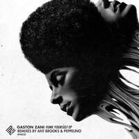 Funk Yourself - Gaston Zani & Peppelino