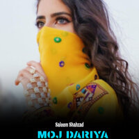DUN KARE - Saleem Shahzad