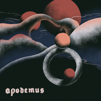 Signal - Apodemus