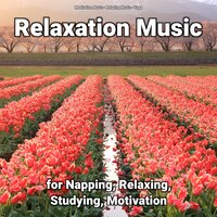 Healing Landscape - Relaxing music & Meditation Music & Yoga