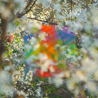 Teenage Birdsong - Four Tet