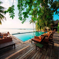 Cultivated Backdrops for Nightcap Drinks - Cafe Lounge Resort
