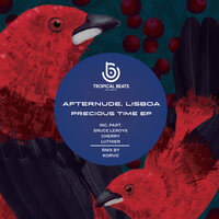 Precious Time - Lisboa & Bruce Leroys & Afternude
