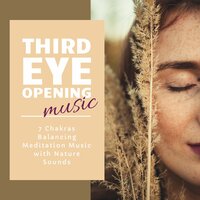 Yoga Nidra Soothing Music - Reiki Armonía & Sleep Music Lullabies