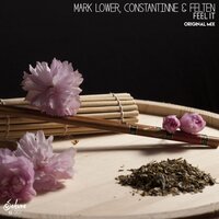 Feel It - Mark Lower & Constantinne & Felten