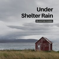 Under Shelter Rain - Nature Sounds & Rain Sounds & Relaxation Channel & Loopable Rain