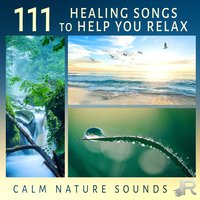 Relaxing Sounds for Equilibrium - Source of Serenity