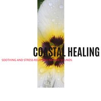 Rejuvenation - Spa Zen & Spa Wave