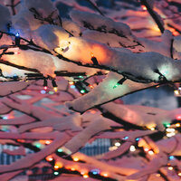 Auld Lang Syne - Christmas 2020 Music