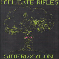 Gimme Gimme Gimme - The Celibate Rifles