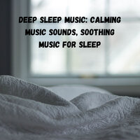 Wellness Sounds - Relaxing Music Therapy & Focus & Amazing Spa Experience