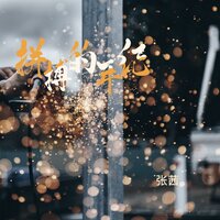 拼搏的年纪 - 张茜