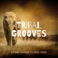 Tribal Groove - Kapa Nyolo