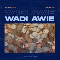 Wadi Awie - Kynglouy & Abiolizi