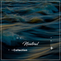 Moonlit Reflections - Water Spa, Pure Serenity Spa Music & Massage Collective Garden & Zen Relaxation Meditation, Bath Spa Relaxing Music Zone & Bath Spa Relaxing Music Zone & Water Spa & Pure Serenity Spa Music & Massage Collective Garden & Zen Relaxation Meditation