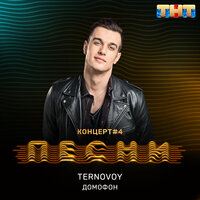 Домофон - TERRY