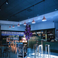 Charming Backdrops for Fashionable Eateries - Dining Music