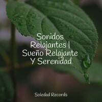 Harmony Heard - Dormir e Meditar & Massage Music & Escola de Meditação