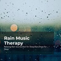 Experience Rainfall - Relaxing Rain Sounds & Rain for Sleep & Rain Drops for Sleep