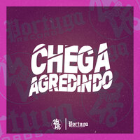 Chega Agredindo - MC RB da Favelinha & MC XANGAI & DJ Gordinho da VF