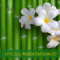 Garden of the Gods & Temple of Silence - Music for Deep Relaxation Meditation Academy