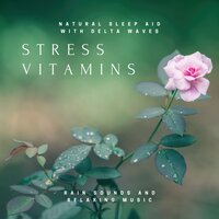 Zen for Anxiety Relief - Asian Meditation Music Collective