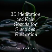 Ocean Waves and Seagulls Overhead - Chakra Meditation Universe & Crying & Colic Relief & Study Concentration