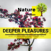 Deep Mind Chill Out - Meditation Atmospheres & Power Yoga Nature Sounds