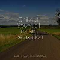 Welness and Mindfulness - Sons da Natureza Relax & Pro Sounds of Nature & mindfulness meditation world
