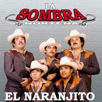 Amor y Lagrimas - La Sombra Norteña
