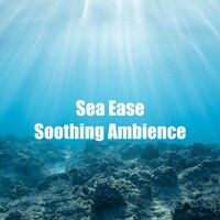 Tranquility Sea Waves for Relaxing - Wave Sound Group