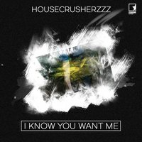 I Know You Want Me - Housecrusherzzz