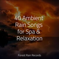 White Noise Rain in the River - White Noise for Baby Sleep & Natural Nature Makers & Shakuhachi Sakano