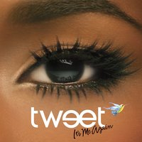 Things I Don't Mean - Tweet & Missy  Elliott