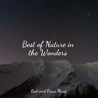 Spa Music - ZEN & Reiki Tribe & Relaxing Sleep Music